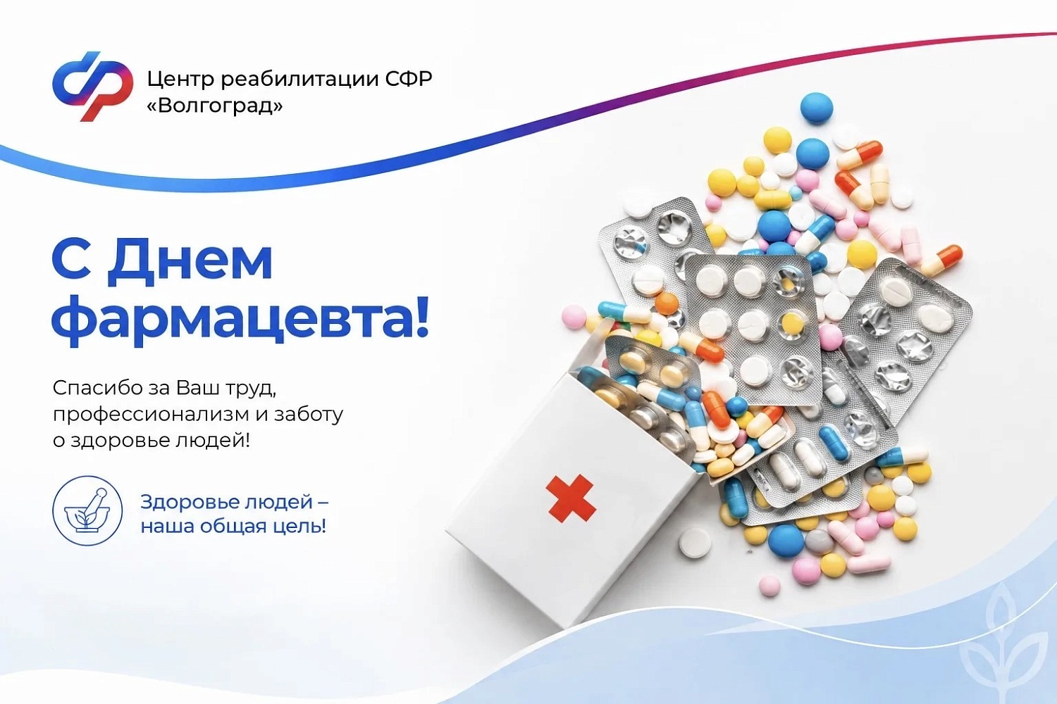 19 мая в России отмечают профессиональный праздник — День фармацевта