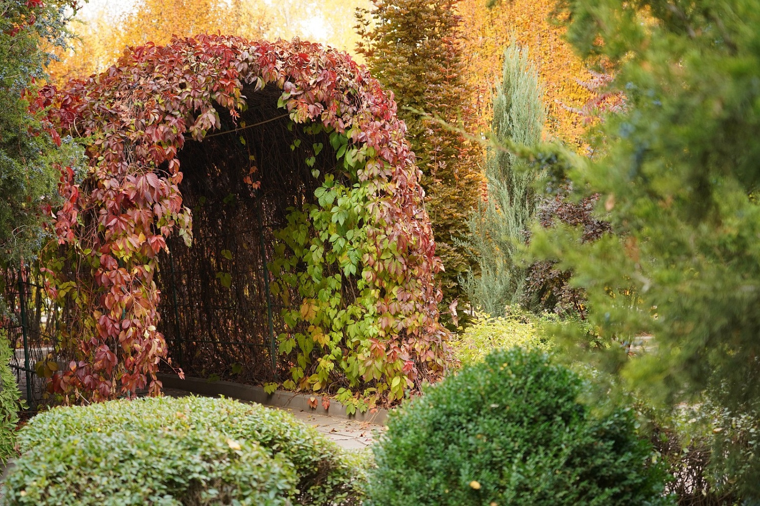 Приглашаем на осеннюю фотосессию!