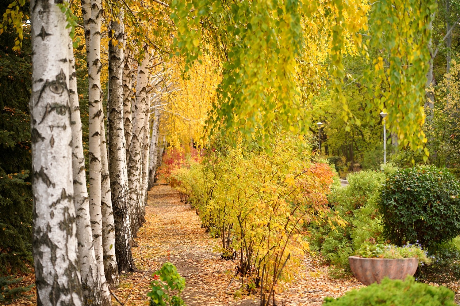 Приглашаем на осеннюю фотосессию!
