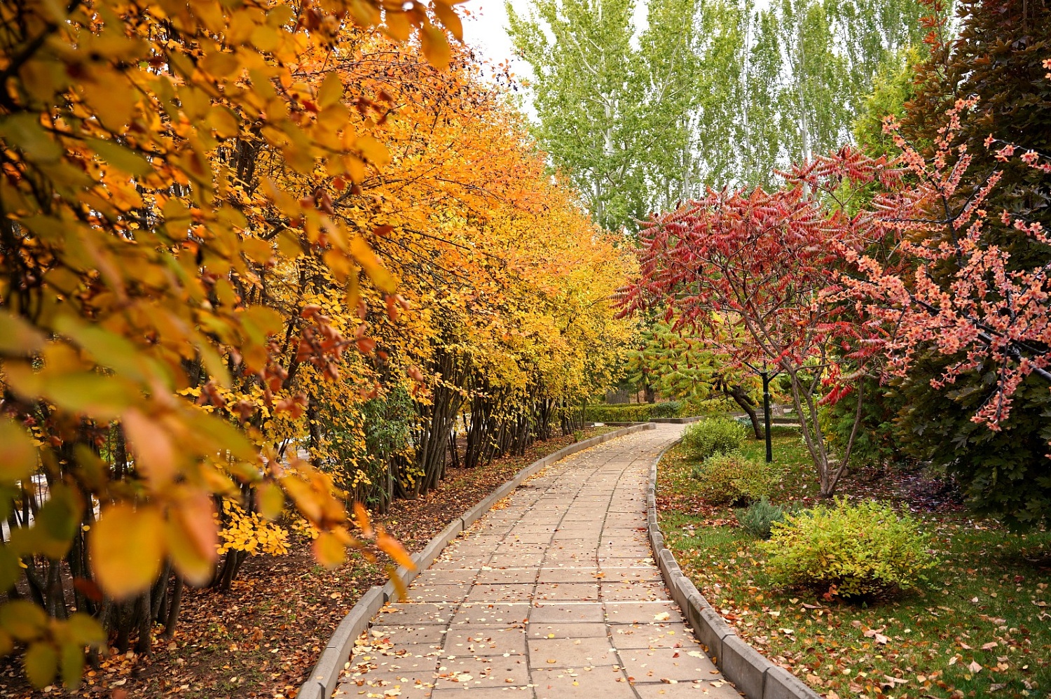 Приглашаем на осеннюю фотосессию!